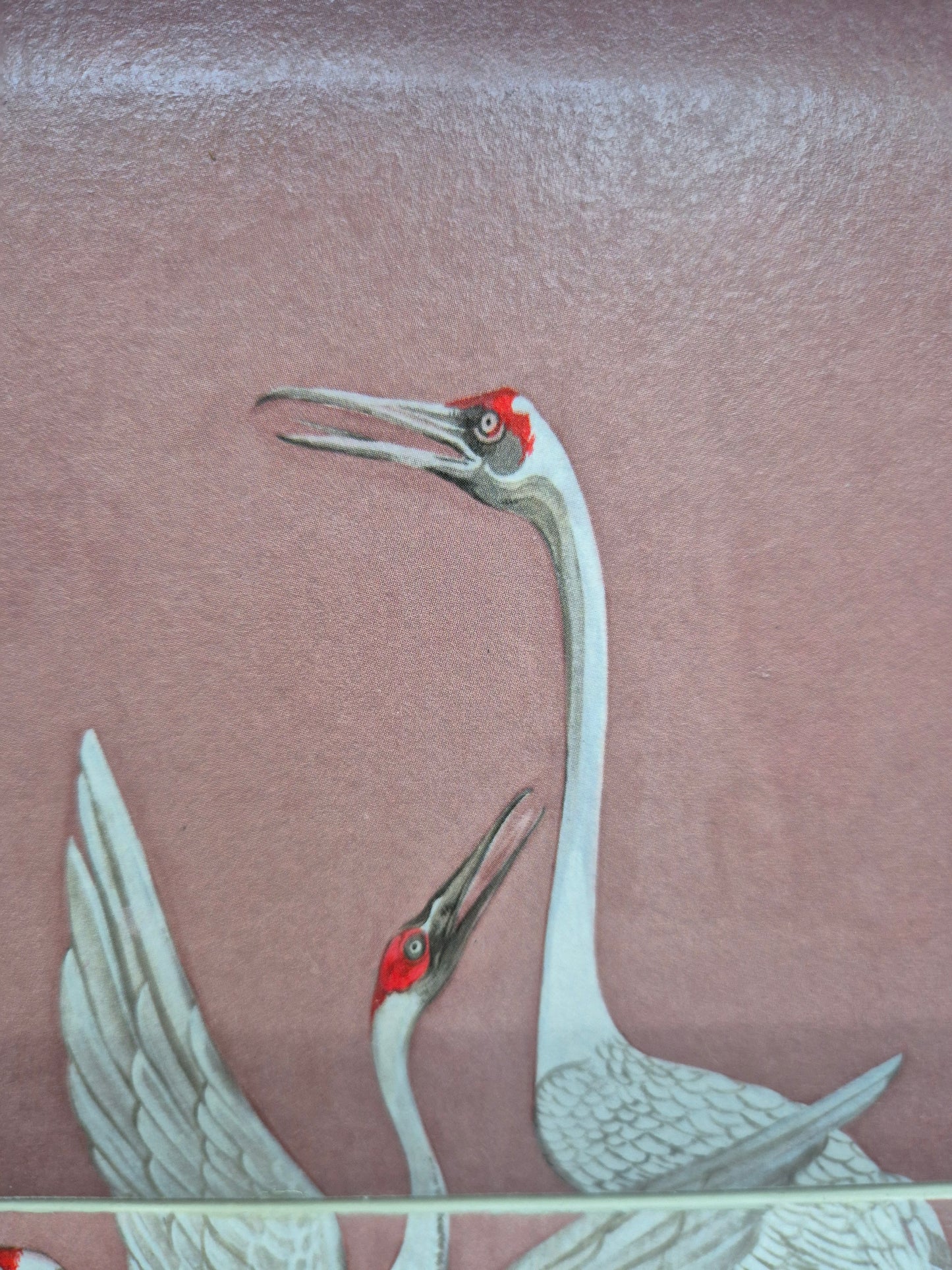 Luxury Mid Century Meredew Sideboard/ Cupboard with Soaring Cranes Decoupage